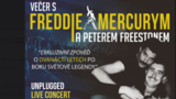 Večer s Freddie Mercurym a Peterem Freestonem - Divadlo Radka Brzobohatého